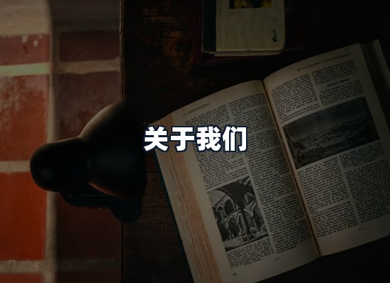 关于我们