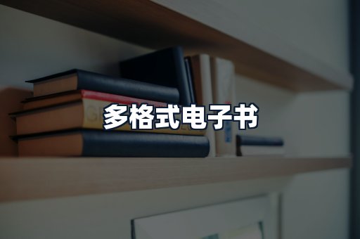 多格式电子书